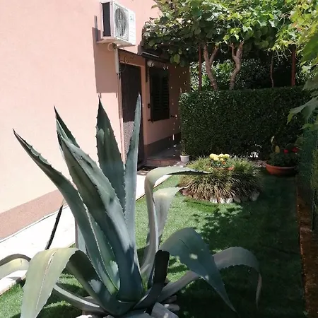 Apartman Bruna Novigrad  Exterior photo
