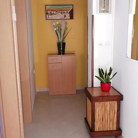 Apartman Bruna Novigrad  Exterior photo